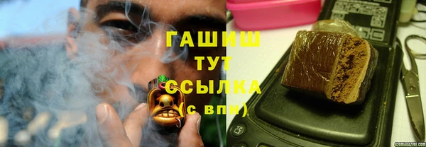 индика Абинск