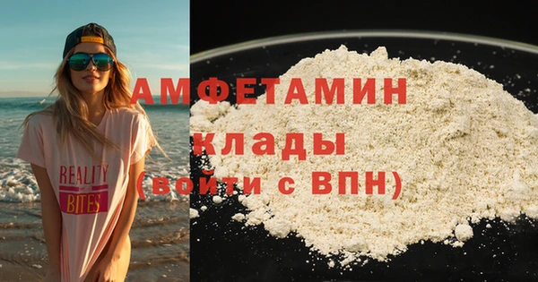 индика Абинск