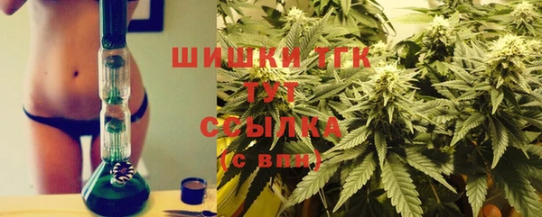 прущая мука Абаза