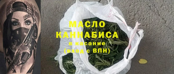 индика Абинск