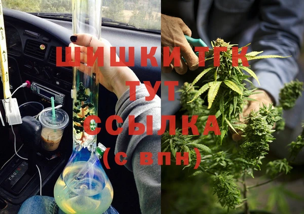 индика Абинск